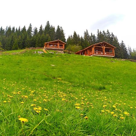 Къщи За Гости Под Звездите بامبوروفو المظهر الخارجي الصورة